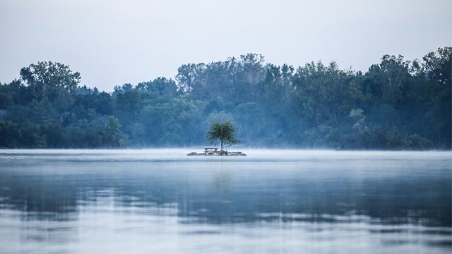 骨盤矯正は少数派に