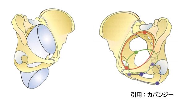 千里丘で産後骨盤矯正